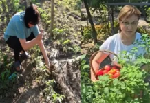 Тез червени домати… Нинова с ново превъплъщение