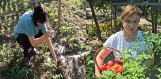 Тез червени домати… Нинова с ново превъплъщение