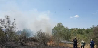 Частично бедствено положение в община Хасково заради пожара край с. Момино