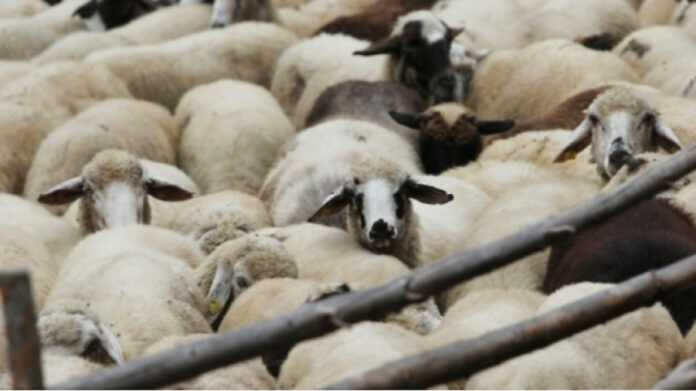 dcc9f8f569b744efe4edf82855d03a6d