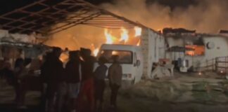 Пожар унищожи кравеферма край Казанлък