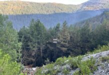 Над 45 000 декара е засегнатата площ след опустошителния пожар в Пирин