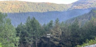 Над 45 000 декара е засегнатата площ след опустошителния пожар в Пирин