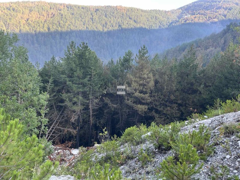 Въпреки че пожарът в Пирин вече е овладян и обстановката