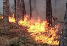 Голям пожар избухна край Харманли