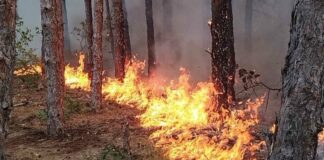 Голям пожар избухна край Харманли