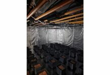 Разкриха наркооранжерия в Студентския град в София