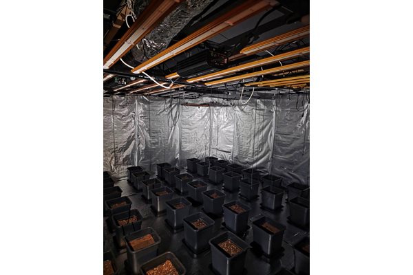 Столичната полиция разкри модерно оборудвана наркооранжерия в Студентския град Полицейската