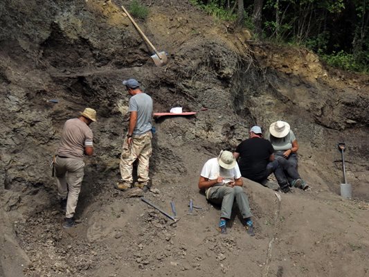 Откриха нови кости от динозаври край Трън Това съобщиха на