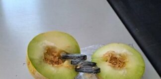 Затворници крият телефони в пъпеш, роднините им напояват дрехи с наркотик