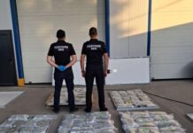 Варненски митничари откриха марихуана за 1 млн. лв. в соларни панели