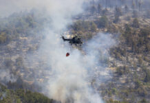 Огнената стихия край Сунгурларе изпепели над 10 000 дка гори и лозя