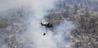 Огнената стихия край Сунгурларе изпепели над 10 000 дка гори и лозя