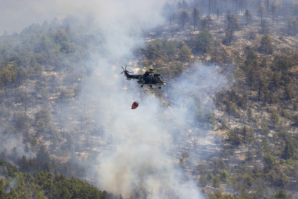 Над 10 хиляди декара смесена гора и лозови масиви бяха