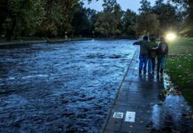 Описват щетите след снощните бури в Северозападна България