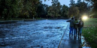 Описват щетите след снощните бури в Северозападна България