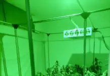 Синът на прокурор Валентина Маджарова остава в ареста за 72 часа