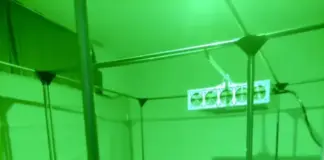 Синът на прокурор Валентина Маджарова остава в ареста за 72 часа