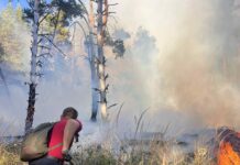 Щетите от пожара в Пирин са за над 16 милиона лева