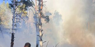 Щетите от пожара в Пирин са за над 16 милиона лева