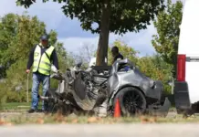 Кола се разцепи след удар с 218 км/ч в дърво в София, шофьорът загина /снимки/