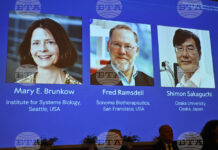 Трима имунолози спечелиха Нобеловата награда за медицина