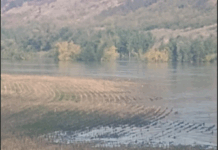 Нивото на Янтра се повиши рязко, наводнени са земеделски площи