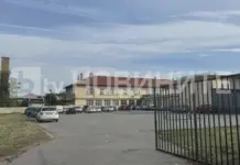 Осмокласник наръга с нож 12-годишно дете в столично училище