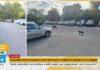 Бездомни кучета нападат пешеходци в Пловдив