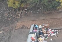 Как да замаскираме колата си в платена зона