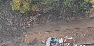 Как да замаскираме колата си в платена зона