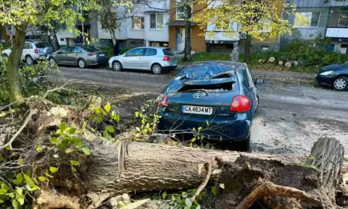 articles__251f7d4e3f4c84c94a217432af3ae5de