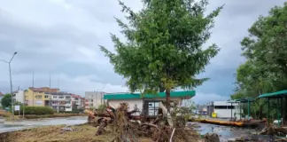 Кметът на Царево: Държавата не отпусна пари за корекция на коритото на река Черна