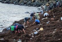 Собственикът на потъналата в морето каса: Имаше не повече от 21 000 лв. и обеците на внучката ми