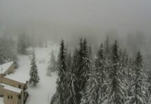 15 сантиметра сняг натрупа на места в Родопите