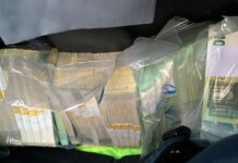 Задържаха четирима в Пловдив за пране на пари, набирали жени за порносайт и изкарали от тях милиони