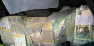 Задържаха четирима в Пловдив за пране на пари, набирали жени за порносайт и изкарали от тях милиони