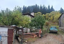 Мечки изядоха ябълките и крушите в Триград, нападат вече и животни