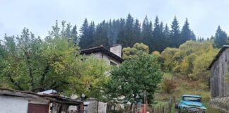 Мечки изядоха ябълките и крушите в Триград, нападат вече и животни