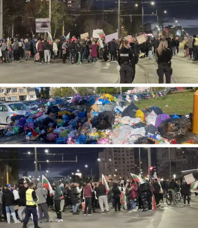 люлин-протест-боклук