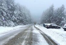 В София е задействана системата BG-ALERT заради обстановката в природен парк „Витоша“