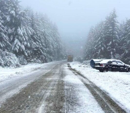 Издирват млад мъж в района на Витоша