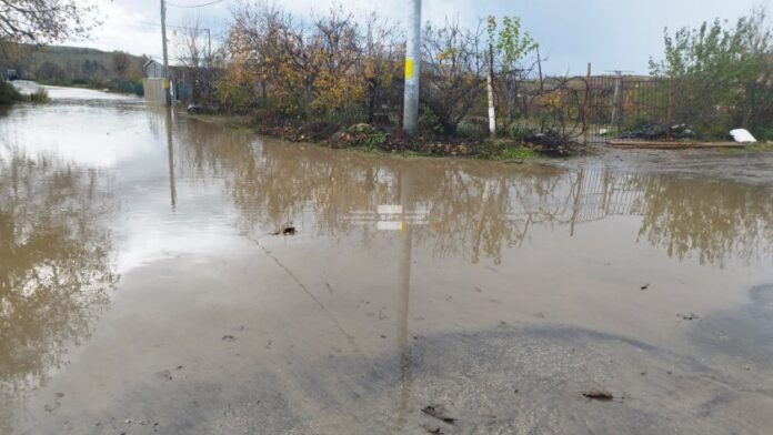 113497cf2131e5c40f6a3c5215233795