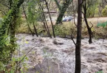 Пороен дъжд и градушка в Петрич: За денонощие в района са паднали 50 л/кв. м