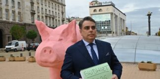 Розовото прасе би трябвало да се изучава от студенти по публична комуникация