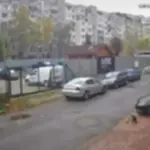 Лекар умишлено прегази и уби куче в София