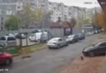 Лекар умишлено прегази и уби куче в София