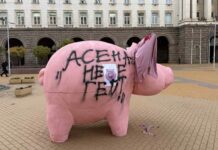 Той е дебел, той не е дебел