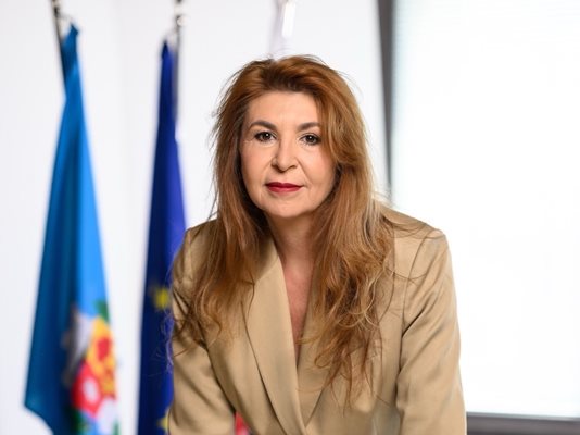 Кметът на София Васил Терзиев поиска оставката на главния архитект