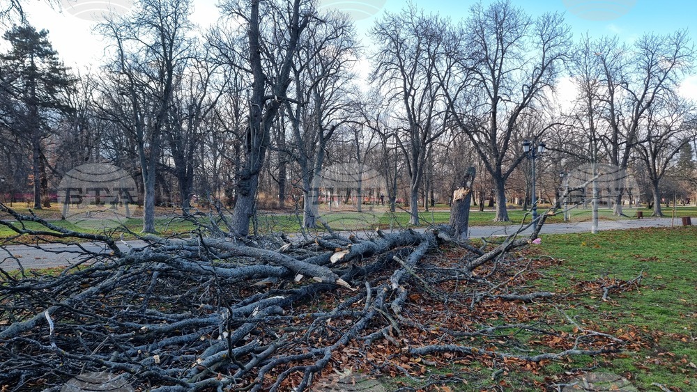 Ураганният вятър който достигна пориви до 100 км ч в